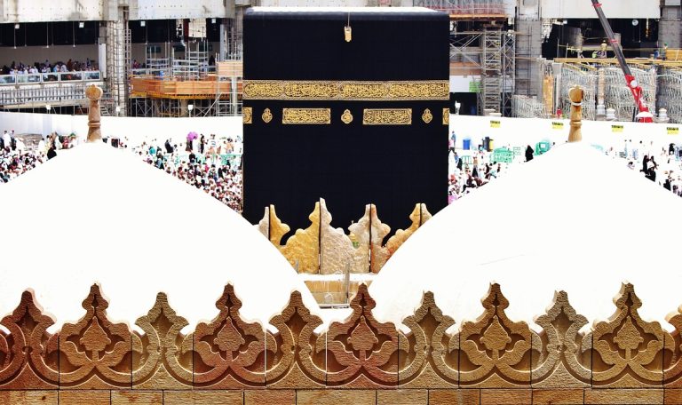 Read more about the article اللہ کو پیاری ہے قربانی