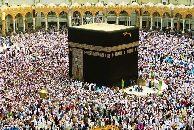 Read more about the article اللہ کو پیاری ہے قربانی