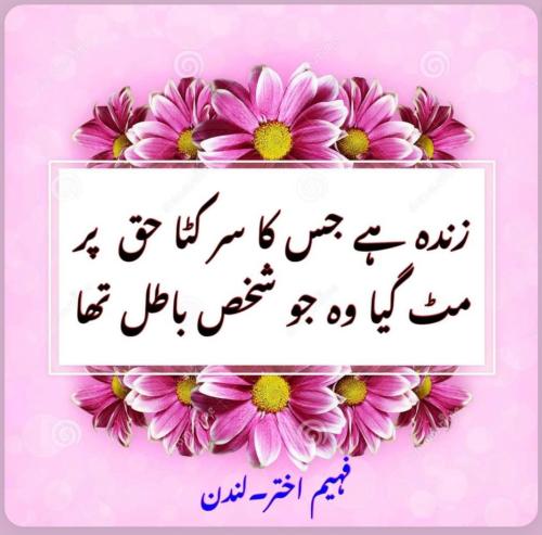 WhatsApp-Image-2024-07-04-at-2.53.00-PM