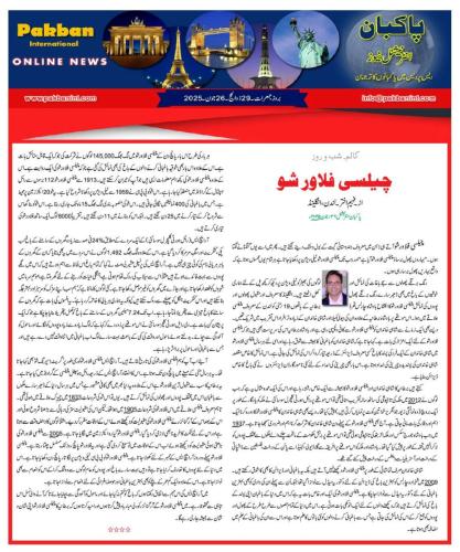 WhatsApp-Image-2025-06-29-at-7.27.18-PM-6