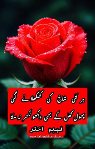 WhatsApp-Image-2025-07-10-at-2.25.36-AM