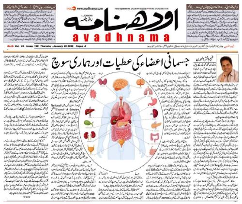 WhatsApp-Image-2026-02-01-at-22.55.11